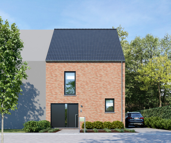 Pijlstaart extra image 2