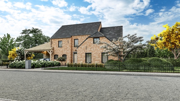 Scholekster